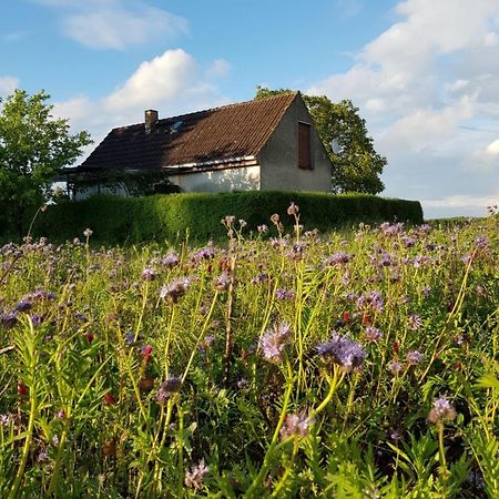 Ferienhaus Gransee Unmittelbar Am Stechlinsee - Radweg Esterno foto